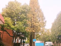 -上海财经大学(国定路校区)