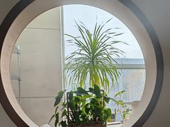 -沐春秋茶书院·茶室.茶馆.商务包房(知春路店)