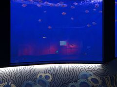 -沈阳海洋探索中心