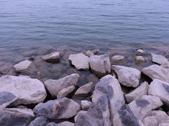 -北龙湖湿地公园