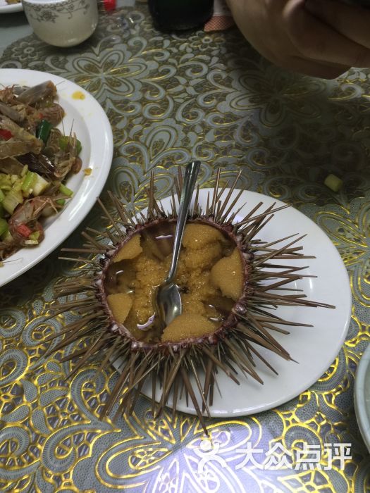 小平岛海鲜舫-图片-大连美食-大众点评网