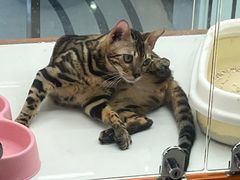 -万达广场(南宁青秀店)