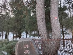 -香山公园