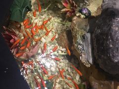 -冶春茶社(星汉大厦店)