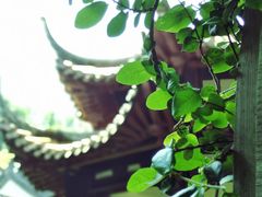 -杭州黄龙洞