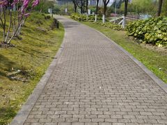 -白塘生态植物园