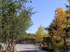 -大兴滨河森林公园