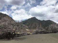 -佛掌沙丘