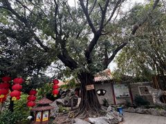-东江渔村·古典园林·30年粤菜老字号(太和店)