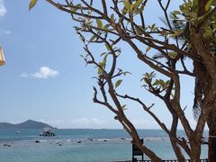 -JW万豪厨房餐厅·滨海草坪烧烤·海鲜·海景(三亚绿发山海天JW万豪酒店)