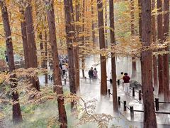 -国家植物园南园