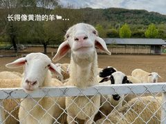 -大连铭湖国际观光牧场