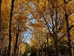 -东钱湖旅游度假区