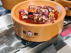 -龍歌自助小火锅(市北和达中心城店)