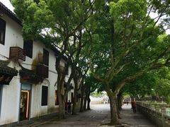 -优依派干洗到家洗衣洗鞋吴江