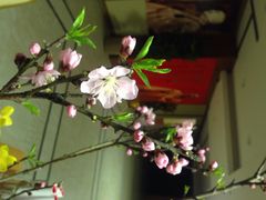 星云文教馆-星云文教馆