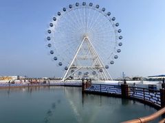 -秦皇岛乐岛海洋王国