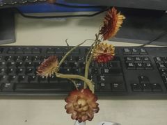 -千古迷阵密室逃脱·剧本推理(成都旗舰店)