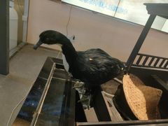 -马家斑.鲜鱼火锅(松湖万科店)