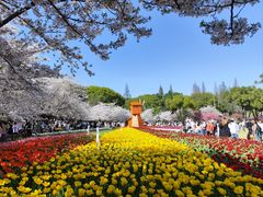 -苏州上方山国家森林公园