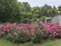 -郑州中国绿化博览园