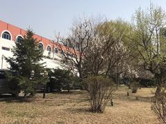 -沈阳药科大学