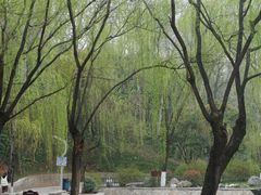 -西安市长乐公园