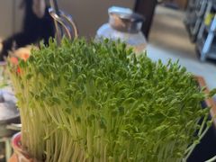-番食园鲜食火锅(高新店)