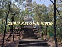 -榴花公园
