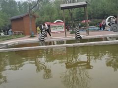 -西部长青自然儿童乐园