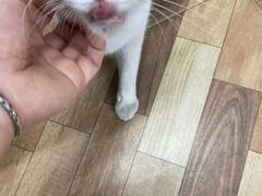 -潮汕美食.厚弥粥(白石洲店)