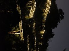 -福道