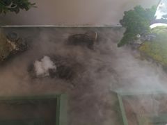 -潮上潮(南中环店)