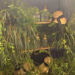 -DC大蔡婚礼策划(李公堤店)