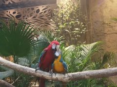 -杭州开元森泊度假乐园