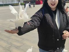 -天津妈祖文化园