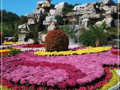 -石家庄市植物园