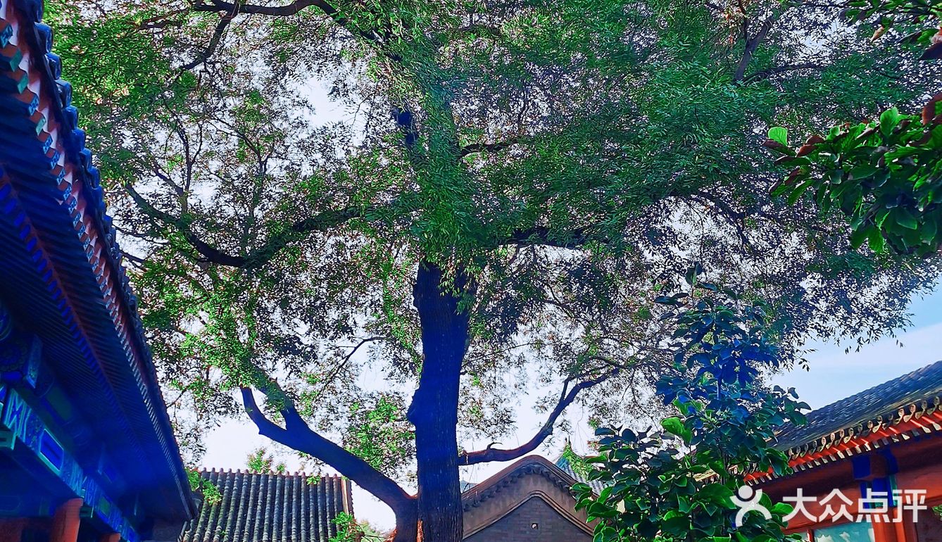 府学胡同儿里的学校—府学小学[胜利]