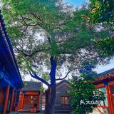 府学胡同儿里的学校—府学小学[胜利]