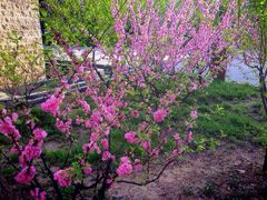 iphone_upload_pic-南馆公园