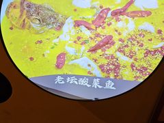 -青叶202都市餐厅(迪诺水镇店)