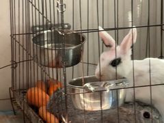 -笑笑凉皮(富国街店)