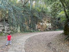 -上海佘山国家森林公园西佘山园