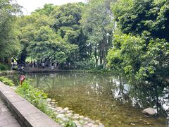 -成都市活水公园