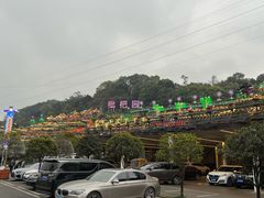 -枇杷园食为鲜火锅(南山店)
