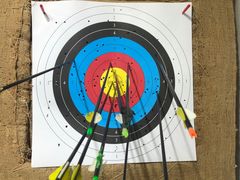 -蓝天射箭馆·专业射箭运动(诚丰广场店)