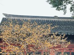 -虞山风景区