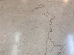 -广州中医药大学第一附属医院(总院)