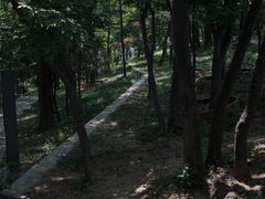 -观象山公园