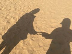 -银肯塔拉沙漠生态旅游景区